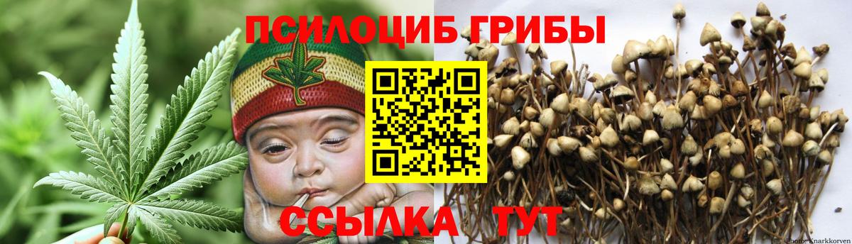 Псилоцибиновые грибы мухоморы  Вход с VPN  Реж  Галлюциногенные грибы Psilocybe 
